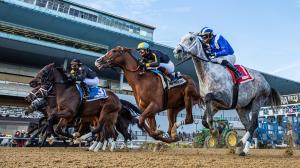 Aqueduct, Weekend Winners, Demoiselle, Eclipse Sportswire